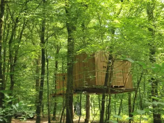 Cabane Ecureuil : Cabane dans les arbres en Franche-Comté